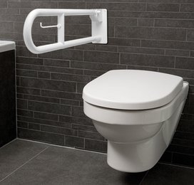 Toiletbeugel opklapbaar met toiletrol houder